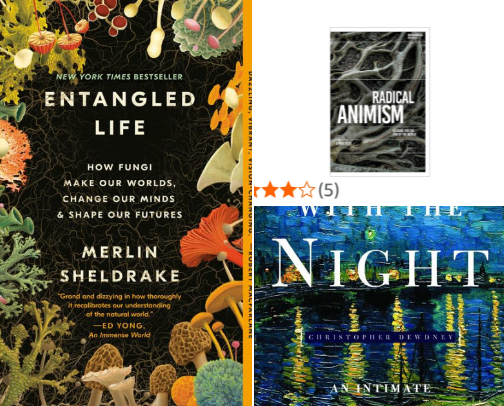 My favorite book recs cover photo collage