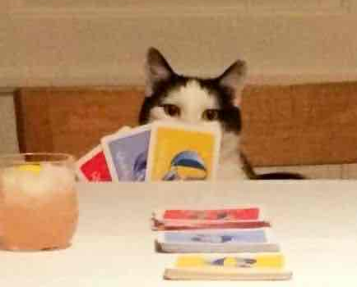 Best Board/Card Games cover photo collage