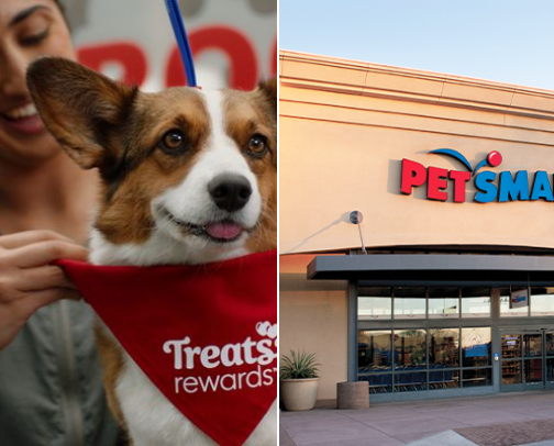 Petsmart cover photo collage