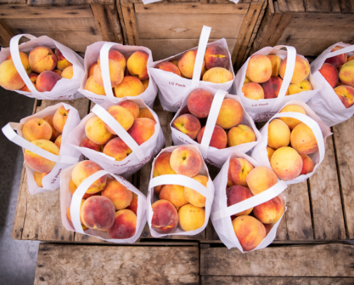 🍎 Where to Find Atlanta’s Best Fall Farmers Markets cover photo collage