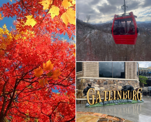 Gatlinburg, TN Travel Guide: Best Things to Do, Places to Stay & Eat cover photo collage