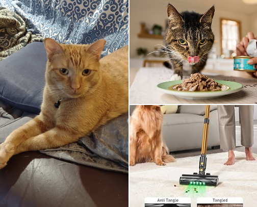 Our cats, our lives, our loves ♥ cover photo collage