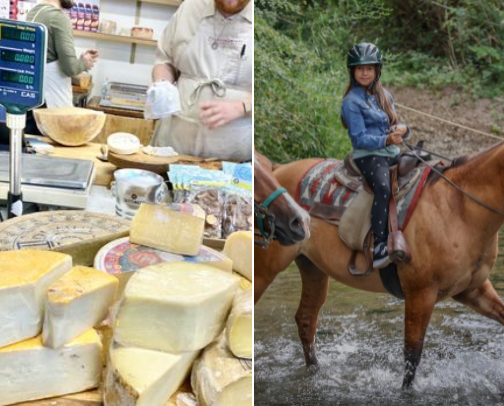 Activities for Main Character Energy cover photo collage