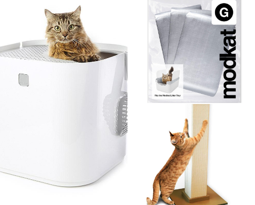 Kitty Cat Needs cover photo collage