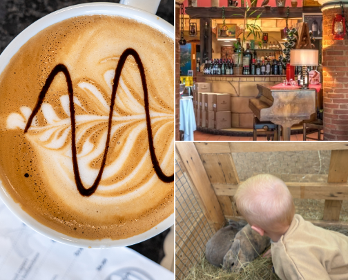 My top Pretoria recs cover photo collage