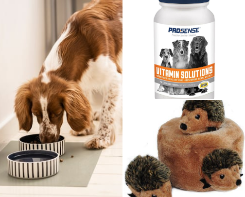 Favorite Dog Finds for February! cover photo collage