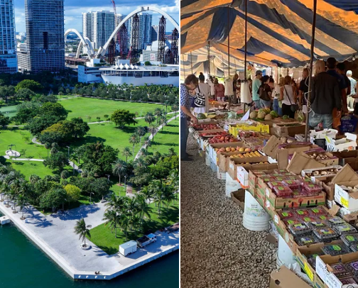 My new list cover photo collage