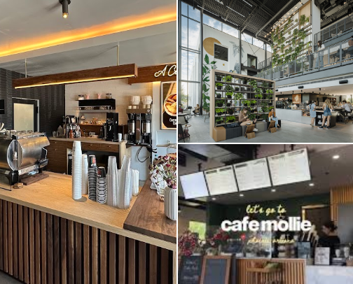 Coffee Shops in Phoenix cover photo collage