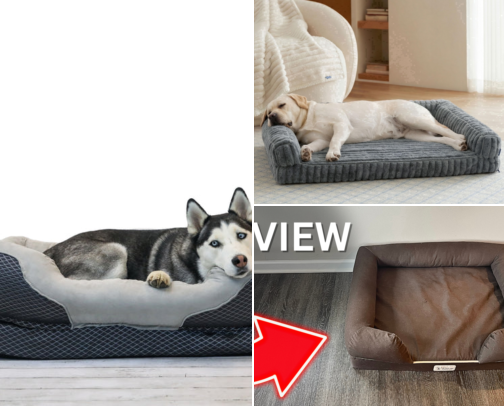 I Finally Found Dog Beds My Couch-Obsessed Dog Actually Prefers cover photo collage