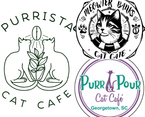 Cat Cafes I Want To Visit cover photo collage