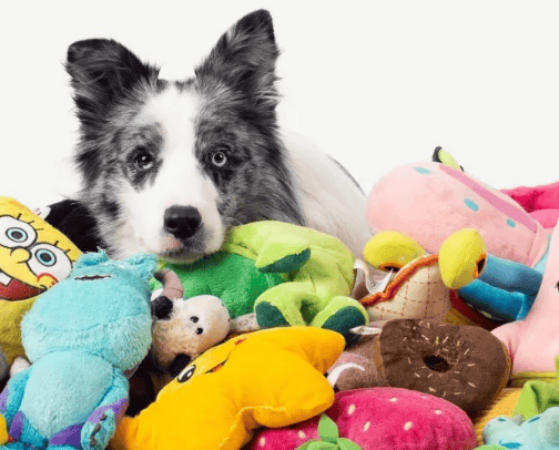 Good Dog cover photo collage