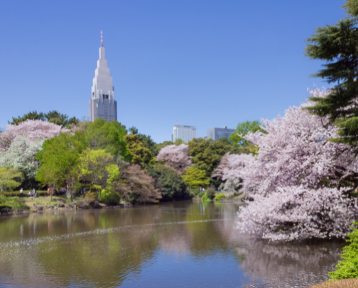 The Ultimate Tokyo Spots to Visit cover photo collage