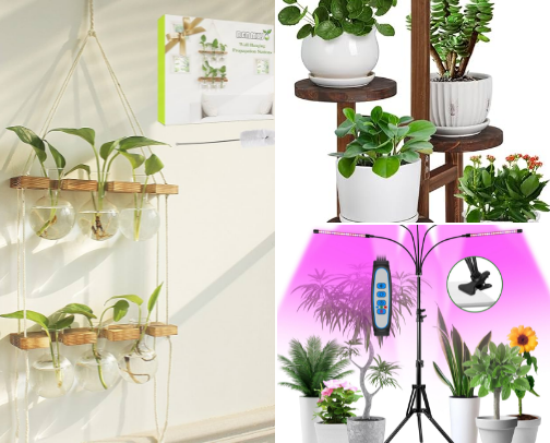Favorite planty things cover photo collage
