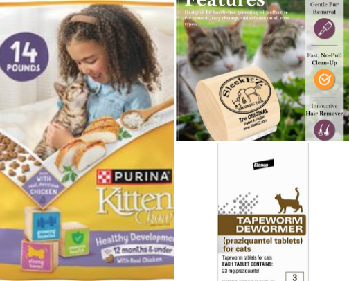 Kitten Essentials cover photo collage
