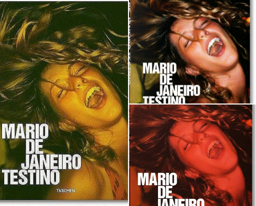 Download - Mario De Janeiro Testino photography for fashion and art lovers cover photo collage