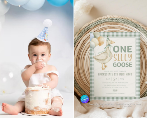 ONE Silly Goose Birthday Party cover photo collage