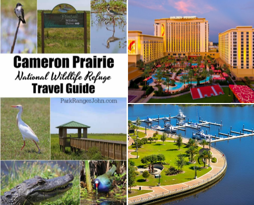 My Favorite Local Spots And Activities cover photo collage