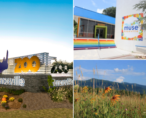 My top Tennessee food, shopping, lodging, and things to do. cover photo collage