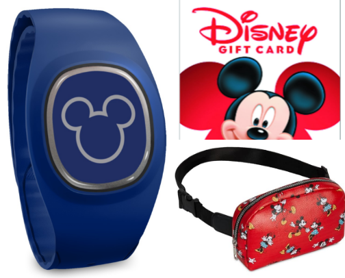 The Ultimate Disney Day cover photo collage