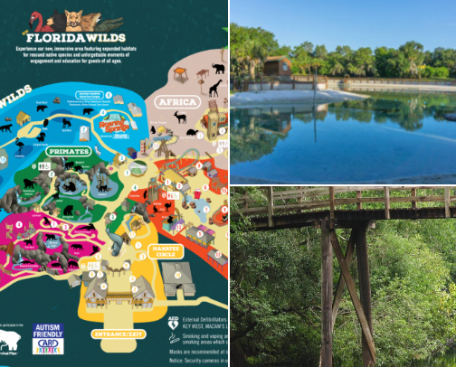 Tampa Bay’s treasures & tourism cover photo collage