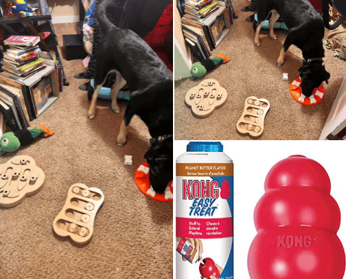 Busy Puppy Hacks cover photo collage