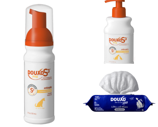 Dog care cover photo collage