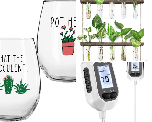 Last minute gift for Plant enthusiasts cover photo collage