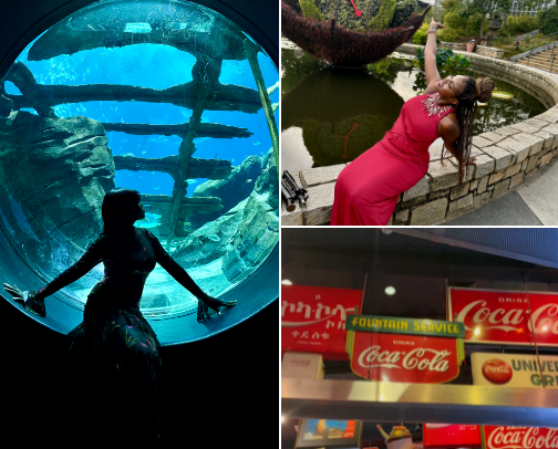 Attractions 😍🎡 cover photo collage