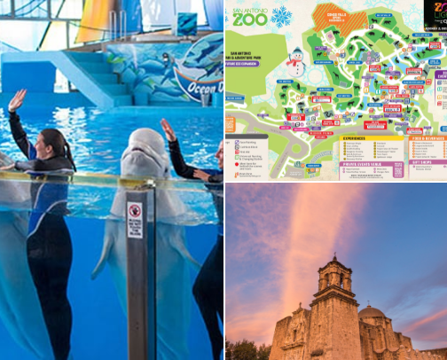 Texas Field Trips cover photo collage