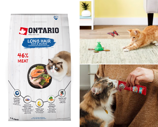 Everything Your Cat Deserves 🐾✨ cover photo collage