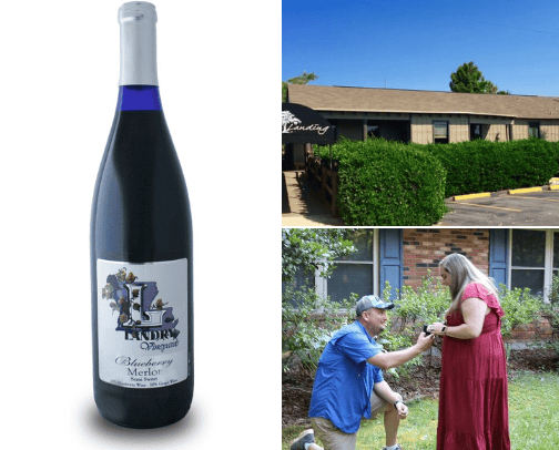 Northeast Louisiana Venues for Events and Visiting cover photo collage