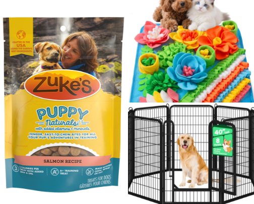 Best Husky Puppy Essentials for First-Time Owners cover photo collage