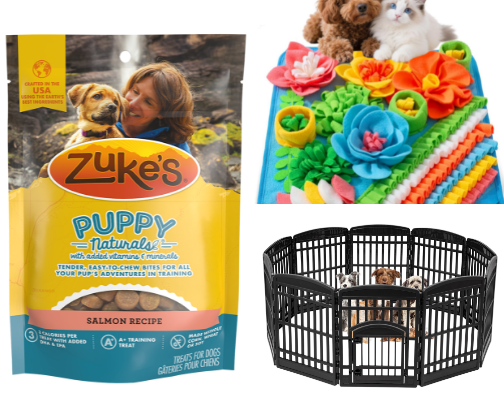 Husky Puppy Essentials (What You Actually Need) cover photo collage