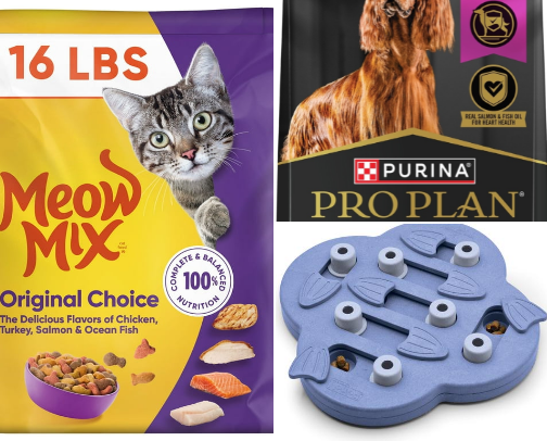 The Chewy.com Products That Made Us Say ‘Why Didn’t We Know About These Sooner?’ cover photo collage