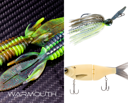 My Bass fishing recommendations!🎣 cover photo collage