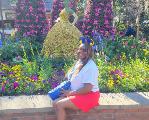 Disney Essentials cover photo collage