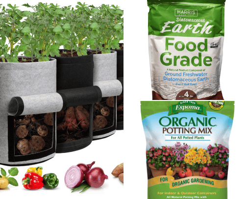 Gardening tools I need to succeed cover photo collage