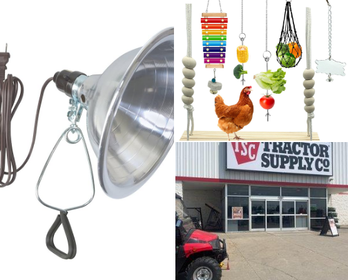 Chickens 🐥🐤🐓 cover photo collage