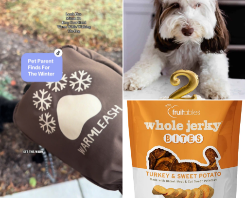 Puppy - Survival and Thriving Kit cover photo collage