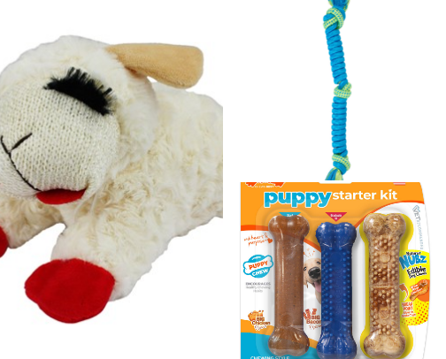 Things My Rescue Pup Loves & Feels Safe With cover photo collage