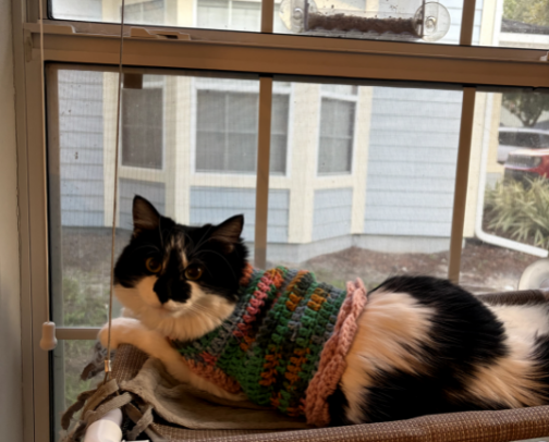 Crochet Cat Sweater cover photo collage