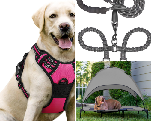 For your four legged friends cover photo collage