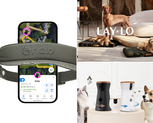 Dog Essentials cover photo collage