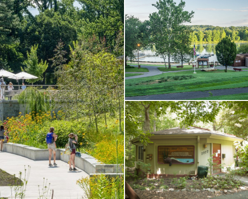 Things To Do in My Area cover photo collage