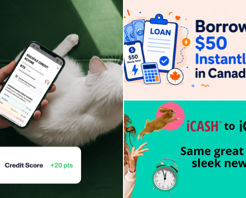 Koho and financial services cover photo collage