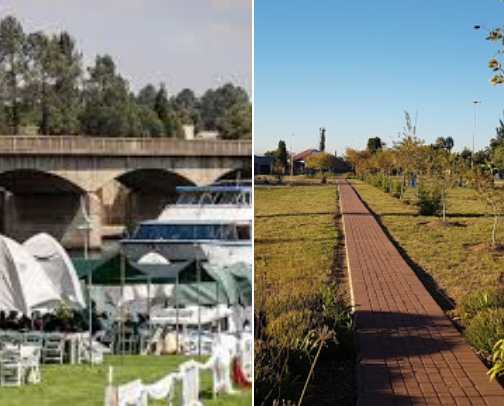 My top local recs cover photo collage