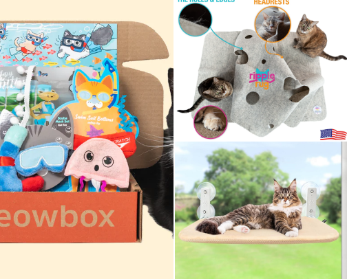 For the love of cats cover photo collage