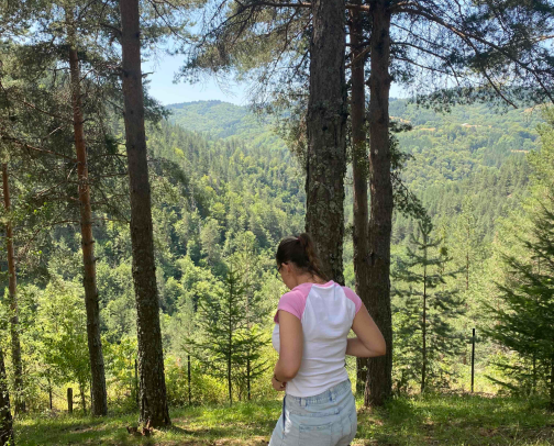 Travel Gems: Hotels & Restaurants You’ll Love cover photo collage