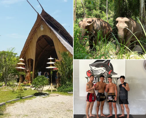 South-East Asia Travel Guide 🏝️🥥🌴 cover photo collage