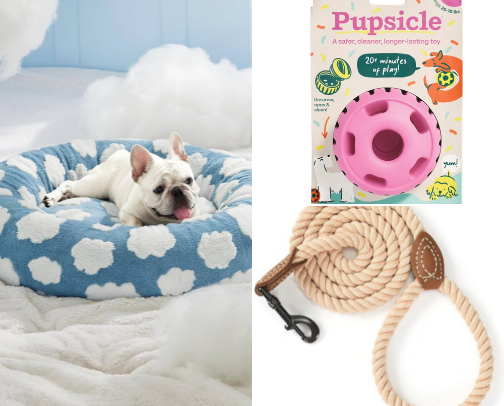 Dog stuff! Everything you need for your pup🐶💕 cover photo collage